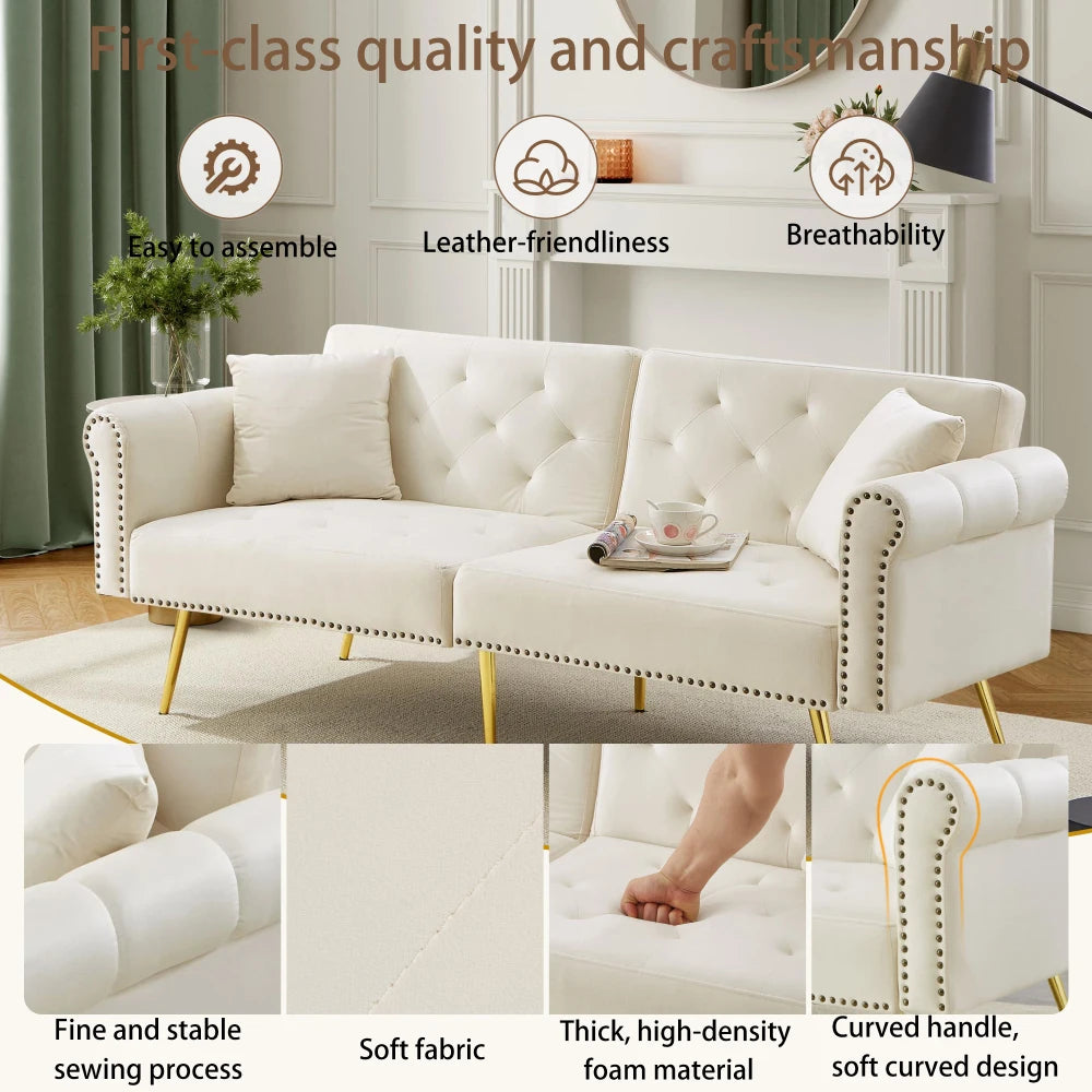 PINGGO Modern 2-Seater Sofa Bed – Velvet Upholstery, 3-Stage Adjustable Backrest & Gold-Plated Metal Feet Stylish Sofa