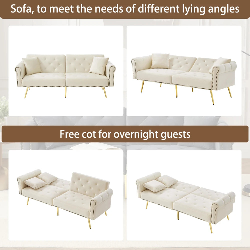 PINGGO Modern 2-Seater Sofa Bed – Velvet Upholstery, 3-Stage Adjustable Backrest & Gold-Plated Metal Feet Stylish Sofa