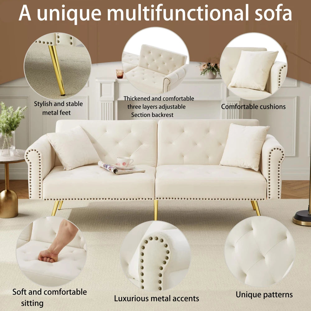 PINGGO Modern 2-Seater Sofa Bed – Velvet Upholstery, 3-Stage Adjustable Backrest & Gold-Plated Metal Feet Stylish Sofa